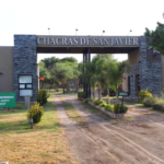 Diseño sin título (90)