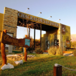 Diseño sin título (92)